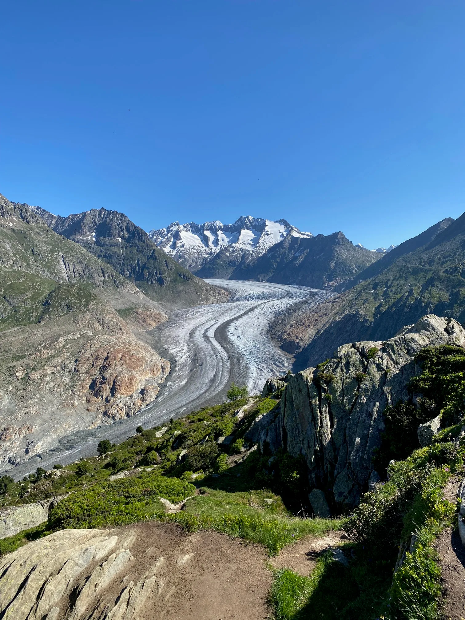 Blick von oben auf die Gletscherzunge des Grossen Aletschgletschers zwischen den Berghängen